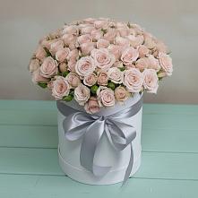 Цветочная композиция из Розы в шляпной коробке #REPLACE_PRED# Ачи-су