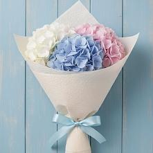 Букет цветов из:  Гортензия в Ачи-су