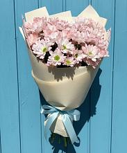 Букет цветов из:  Хризантемы #REPLACE_PRED# Ачи-су