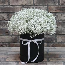 Цветочная композиция из Гипсофила в шляпной коробке #REPLACE_PRED# Ачи-су