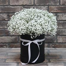 Цветочная композиция из Гипсофила в шляпной коробке в Ачи-су